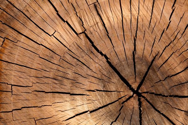 Istota i charakterystyka klejonych budowli drewnianych